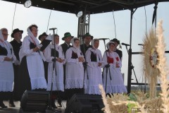 68878240_1578894718910354_4279957562121519104_o