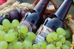 68975600_1578892838910542_4566613192809119744_o