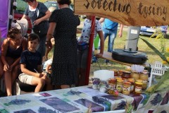 69066320_1578893695577123_7283855240812560384_o