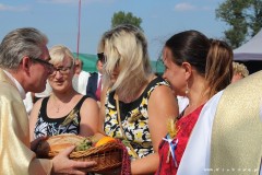 69215097_1578892545577238_1431048038914195456_o