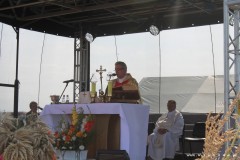 69403675_1578892172243942_6467597290323312640_o