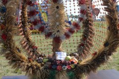 69404151_1578891538910672_4861761910871162880_o