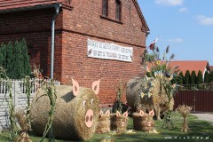 69689174_1578890535577439_1364509662535221248_o